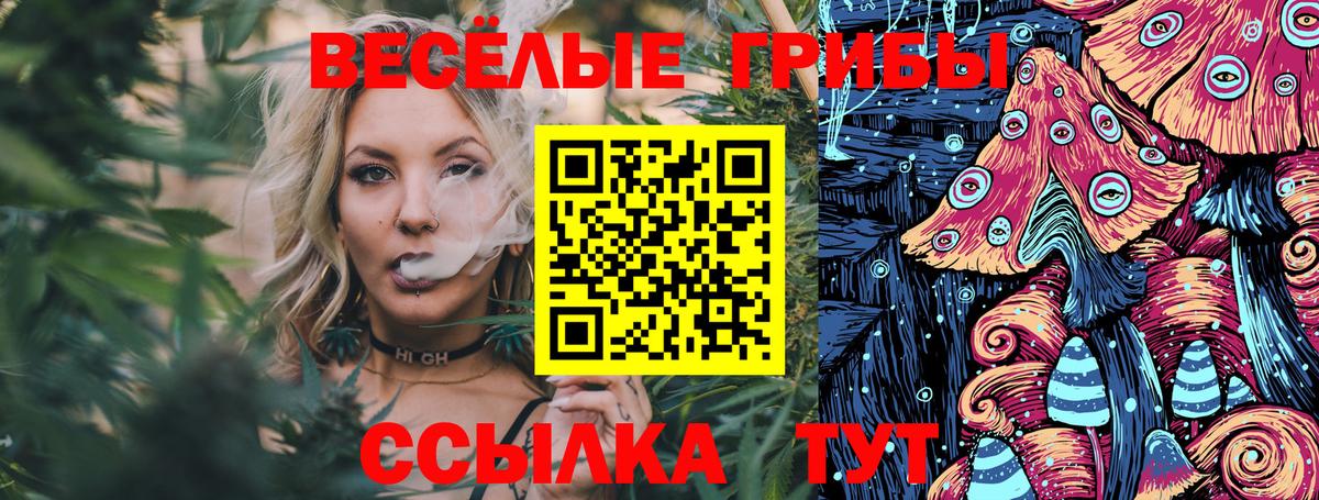 Галлюциногенные грибы ЛСД Канаш