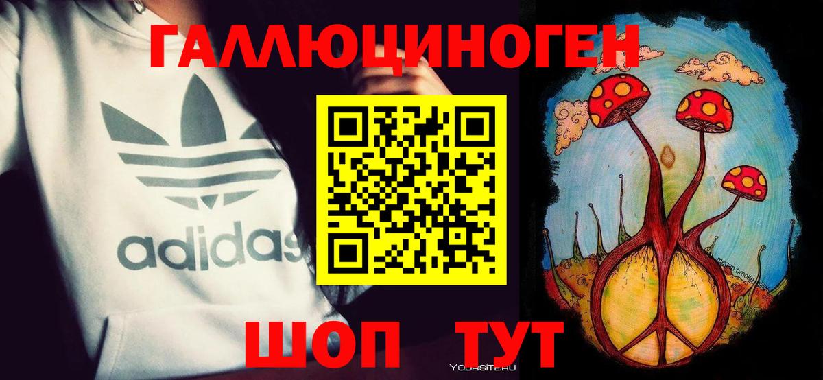 Псилоцибиновые грибы Cubensis  Вход с VPN  Канаш  как найти закладки  Псилоцибиновые грибы мицелий 