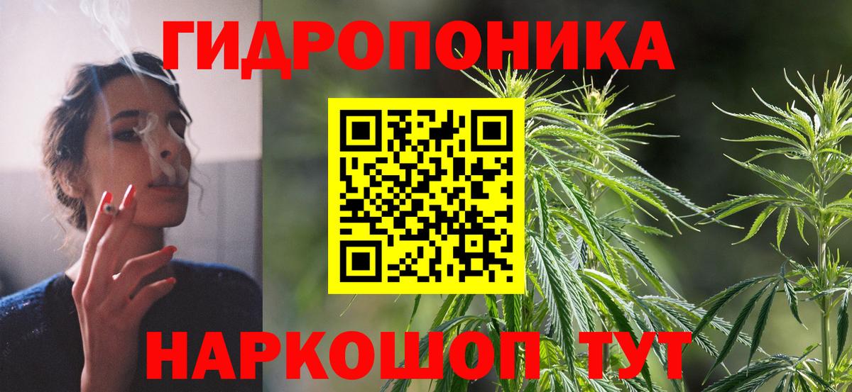 Марихуана тримм  Вход с VPN  Бошки марихуана планчик  Марихуана Amnesia  Канаш 
